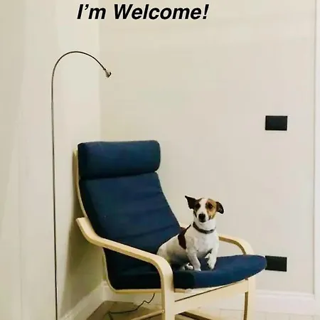 A Casa Distefano, We Are The Center! * كاتانيا