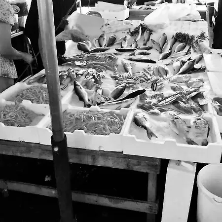 A Casa Distefano, We Are The Center! *